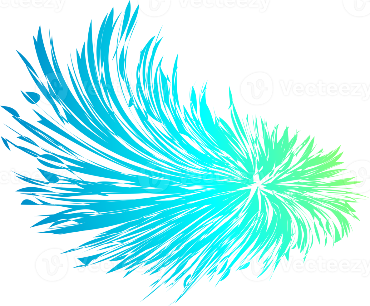 gráfico de penas coloridas png