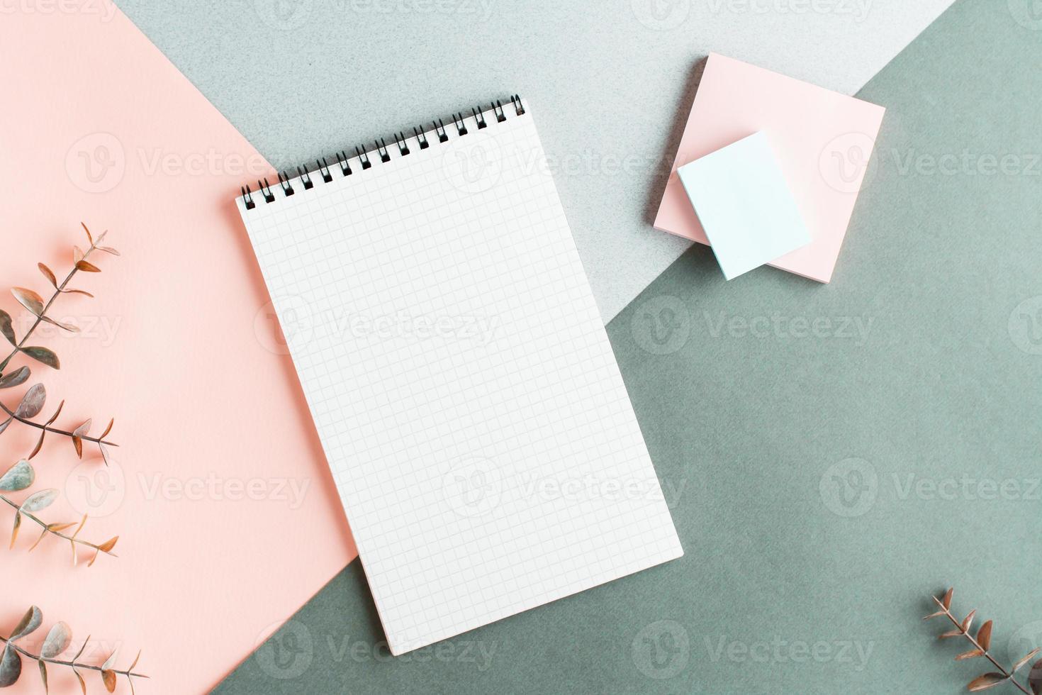 Blank notepad, writing paper and eucalyptus branches on a colored background. Top view. photo