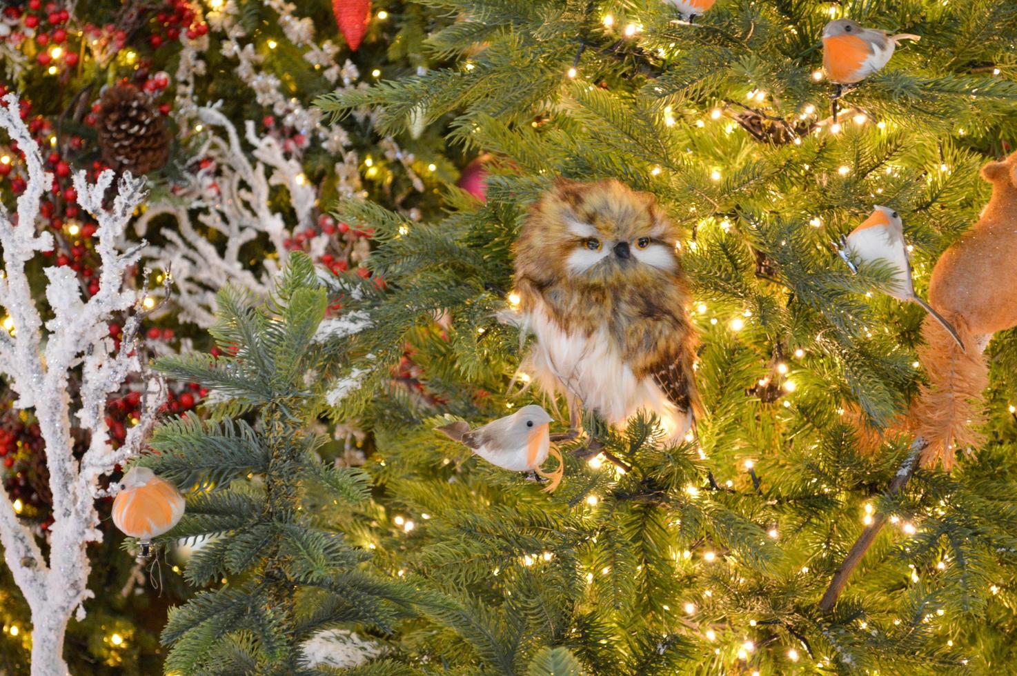 Christmas decor for a shopping center. in the center is an owl hiding behind the Christmas trees. spruce branches are decorated with beads and colorful balls photo