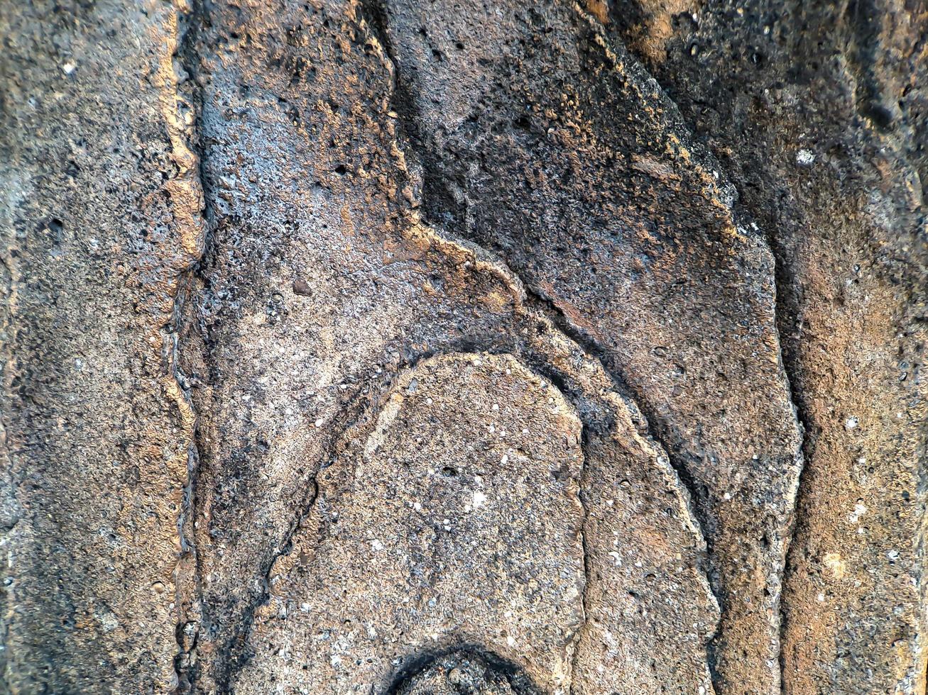 stone ornament in the form of a tree cut made of cement shot in the garden square photo