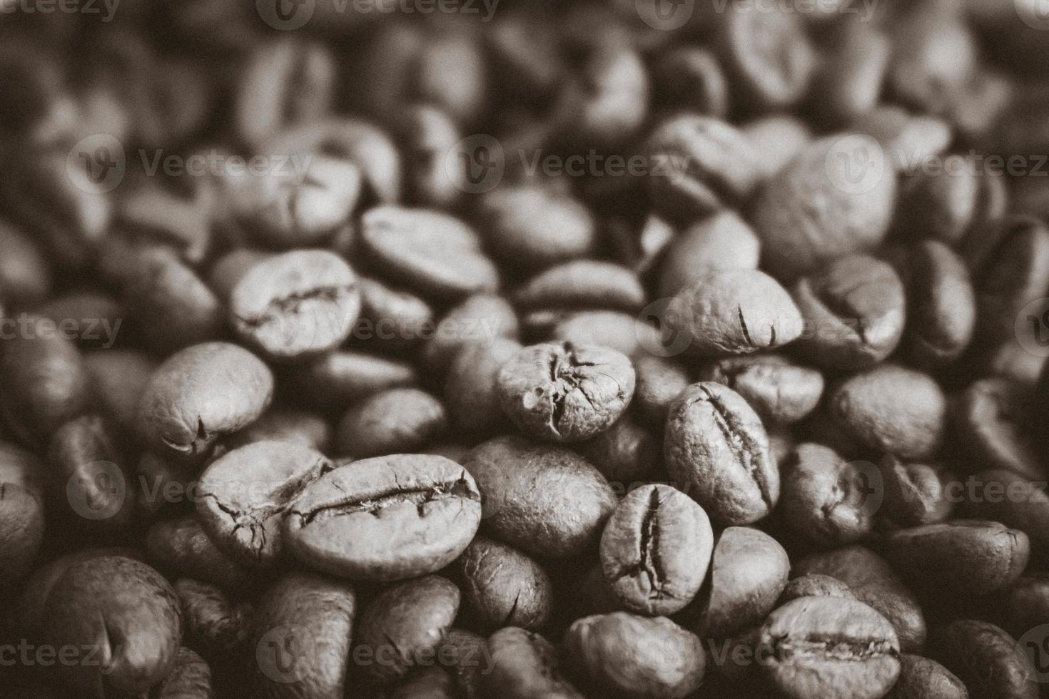 Beautiful texture of freshly roasted selected delicious rich brown natural fragrant coffee tree grains, Arabica coffee beans, Robusta. Copy space, background photo