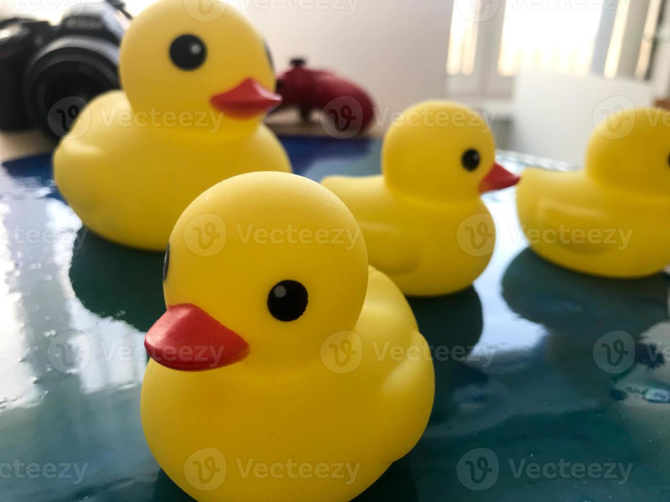 Beautiful yellow rubber bathtub toy ducks swim on a blue water background photo