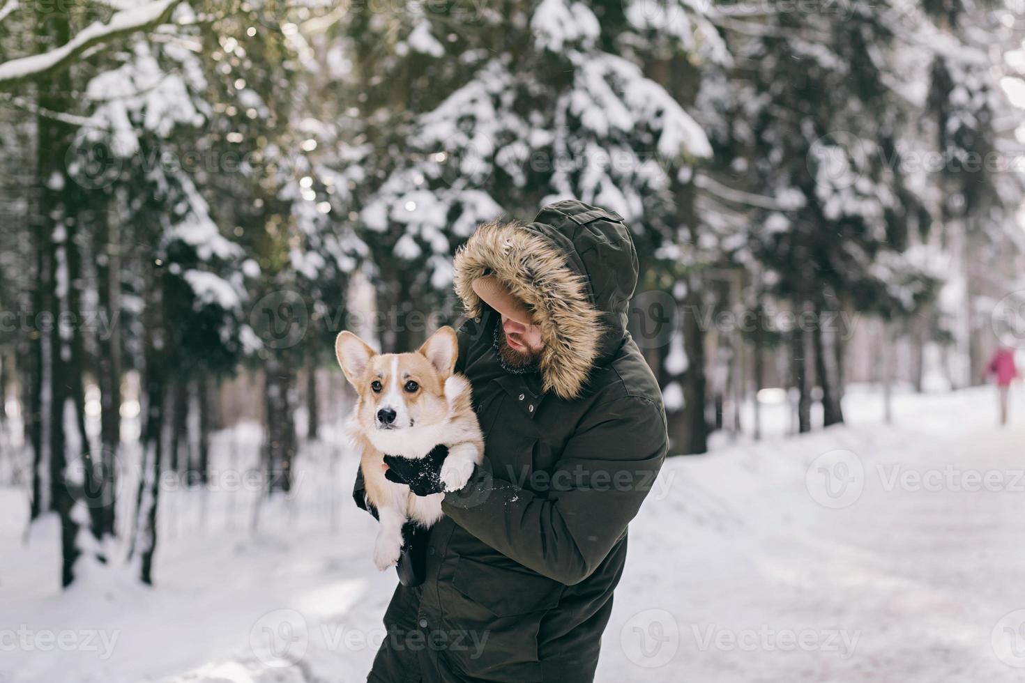 A man in holds a corgi dog in his arms photo