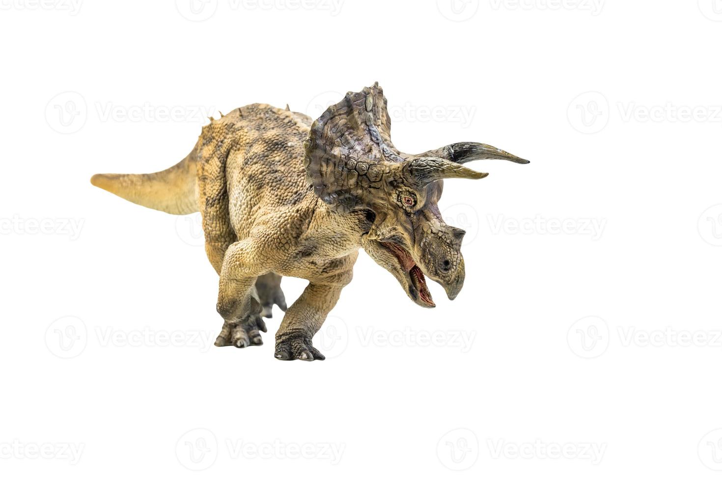 dinosaur , Triceratops on isolated background clipping path photo