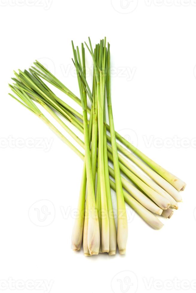 Fresh Lemon Grass photo