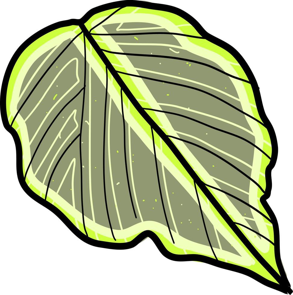 Jungle leaf, illustration, vector on white background.