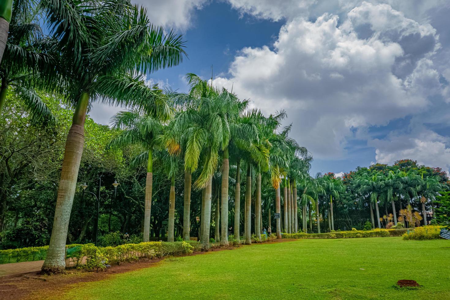 yelagiri - el parque natural es un área ideal en la colina de yelagiri. sirve como un lugar de picnic perfecto para descansar en la vegetación en expansión. el parque consta de zona infantil, guardería, jardín de rocas foto