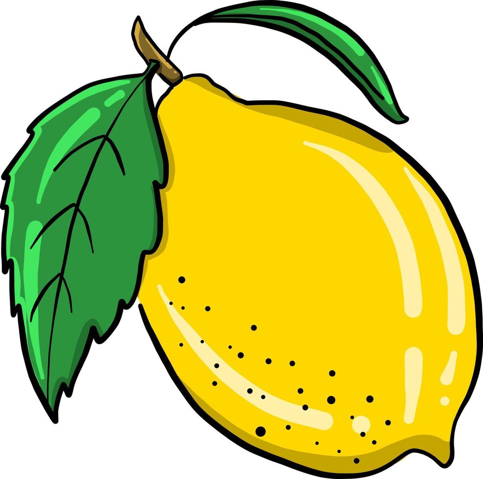 Yellow lemon , illustration, vector on white background