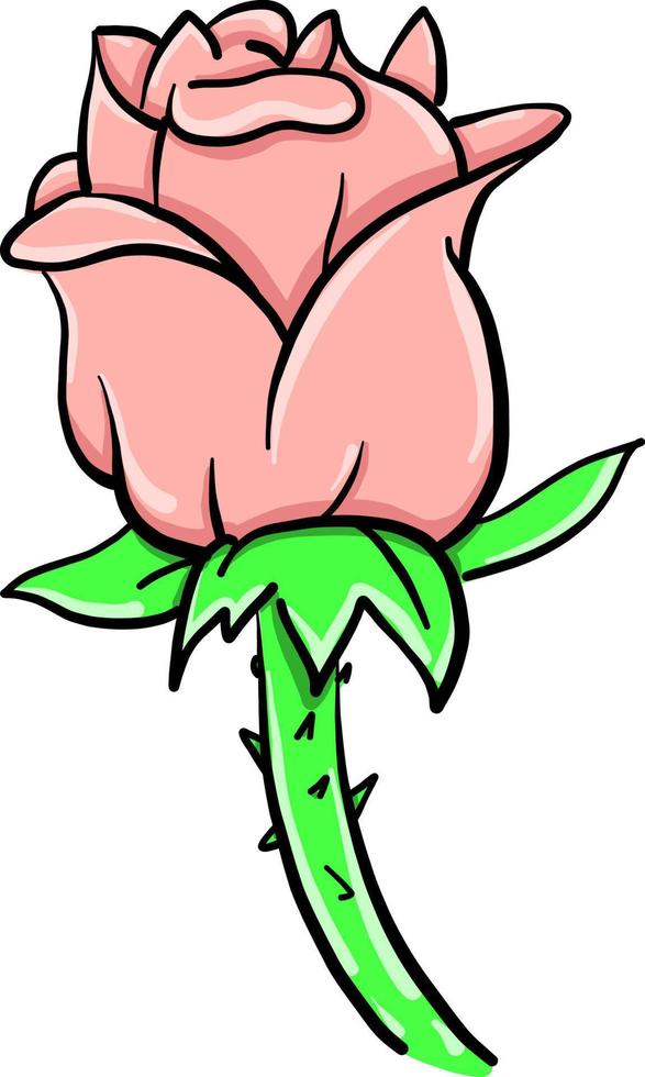 Pink rose , illustration, vector on white background