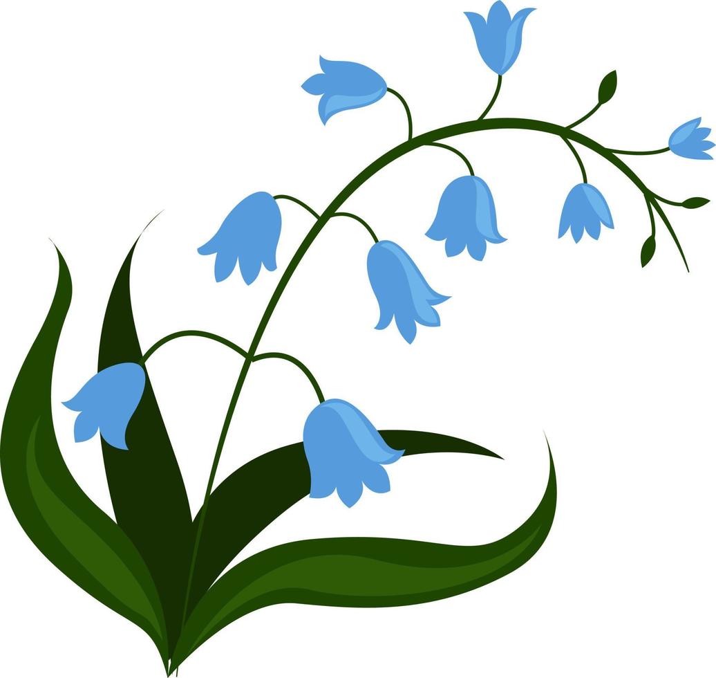 flor azul, ilustración, vector sobre fondo blanco
