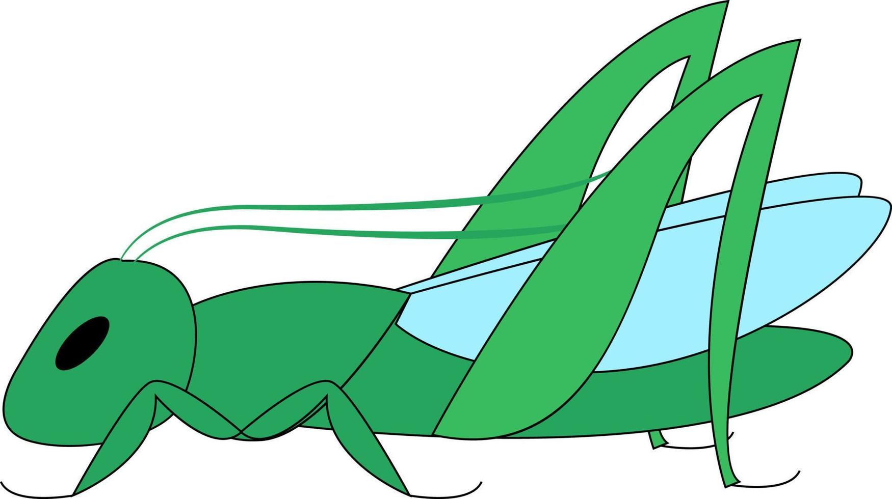 Green grasshopper, illustration, vector on white background.
