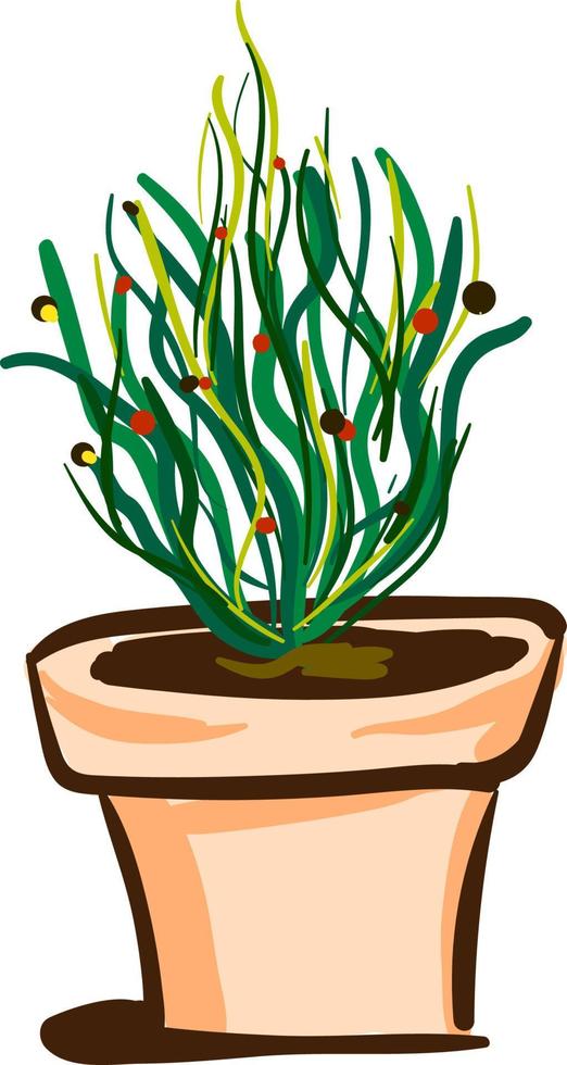 A leafy plant in a pot, vector or color illustration.