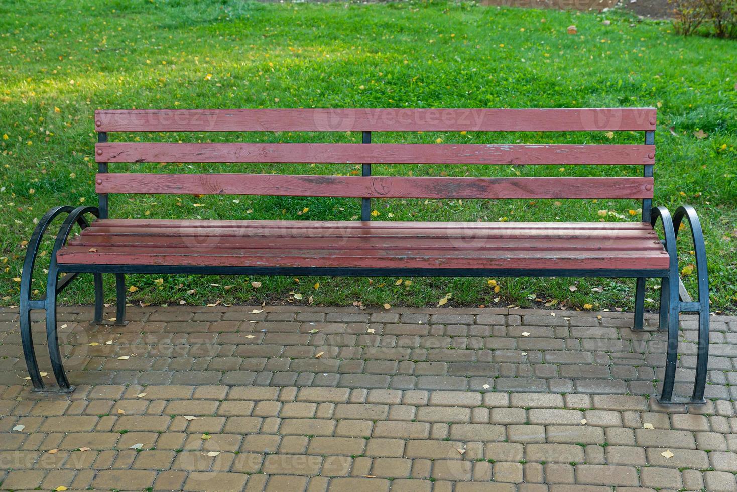 banco romántico en un parque tranquilo en verano foto