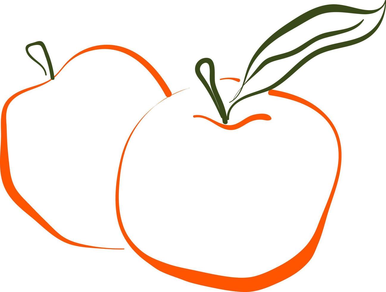 Apple drawing, illustration, vector on white background.
