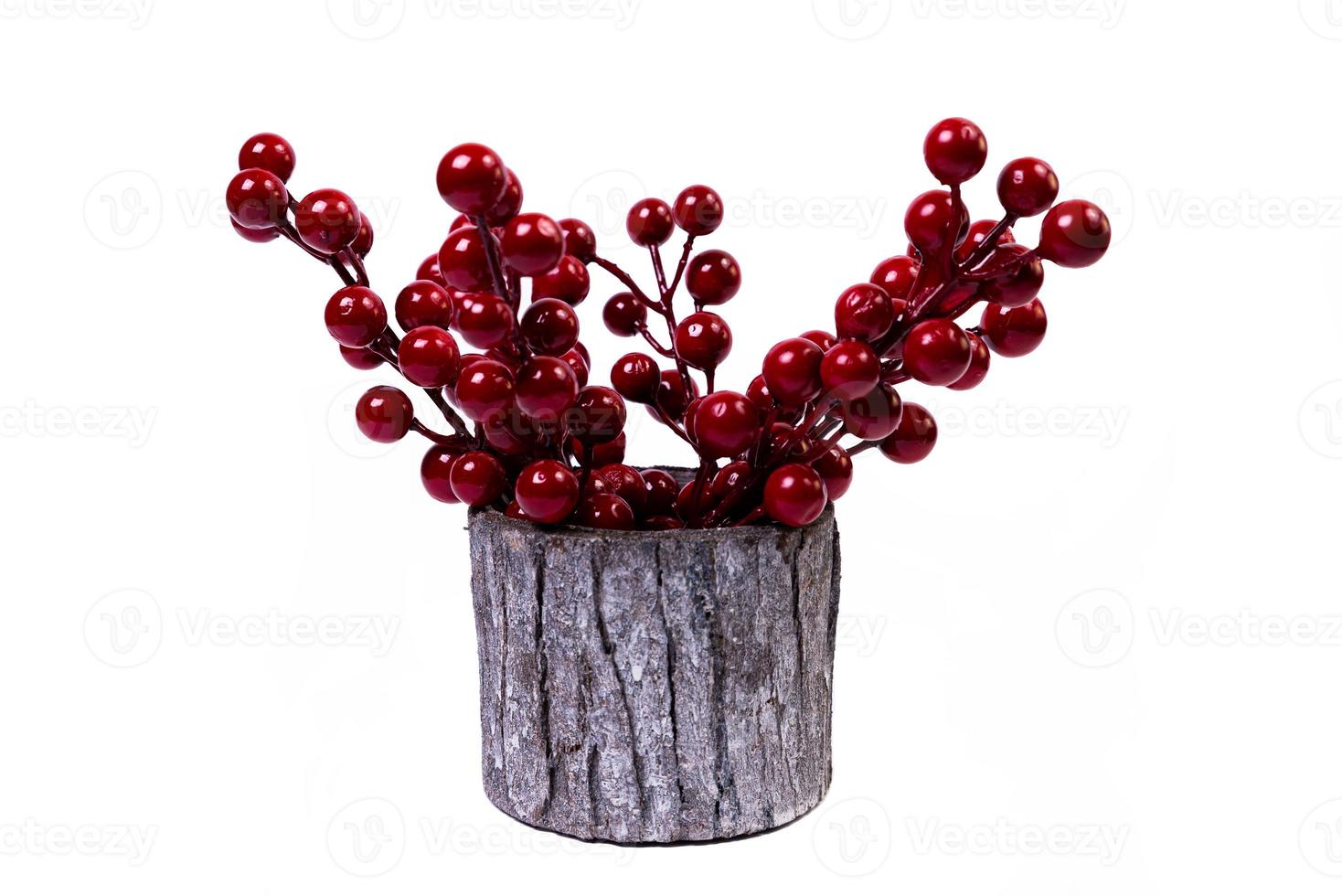 wooden vase with red viburnum rowan with reflection, white background isolated, photo