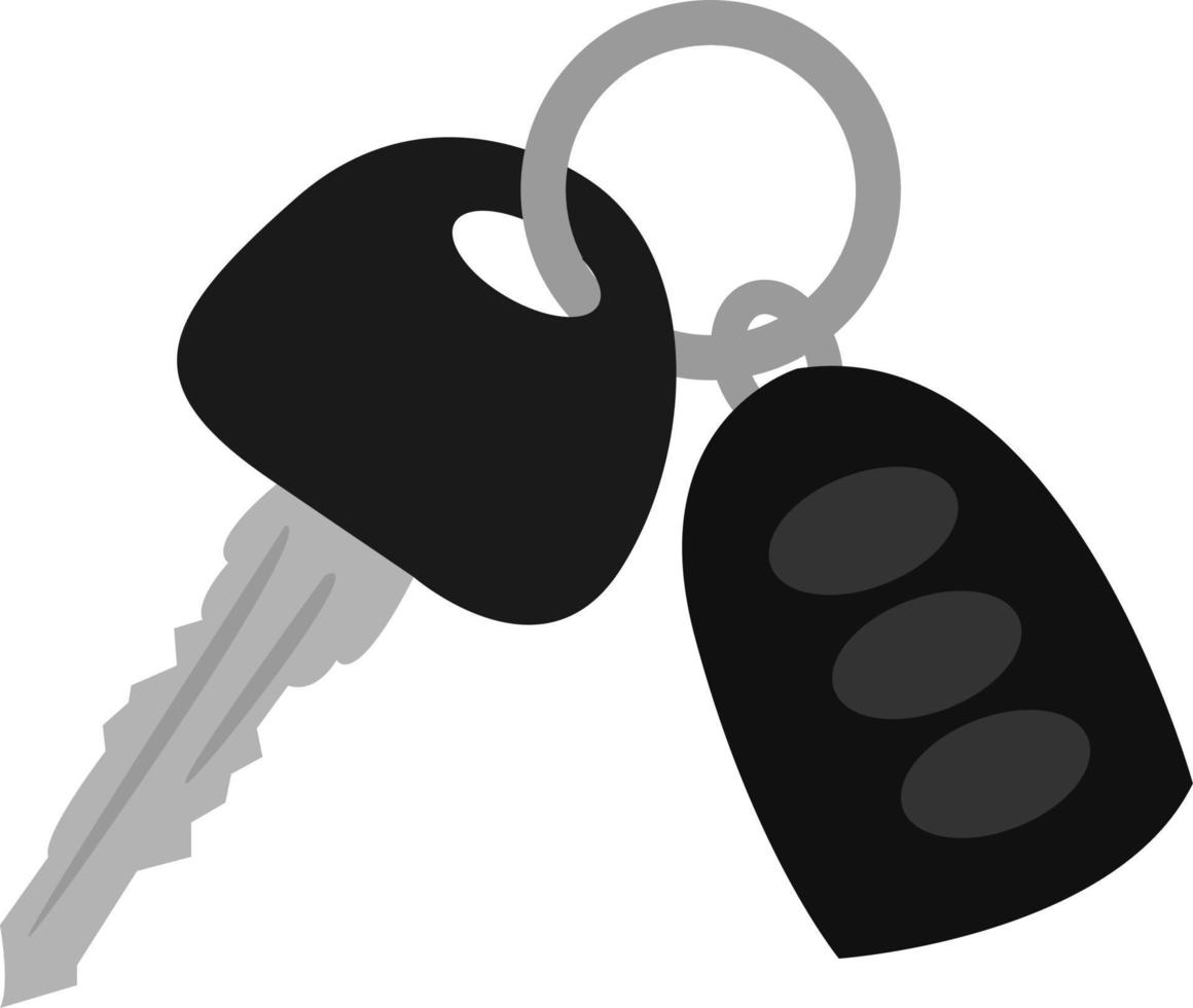 Car keys, illustration, vector on white background.