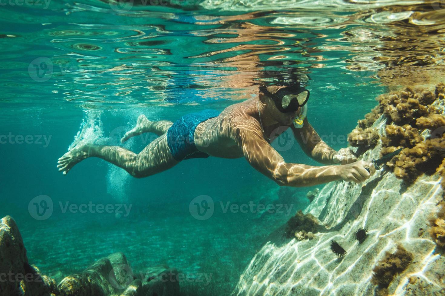 Exploring The Reef photo