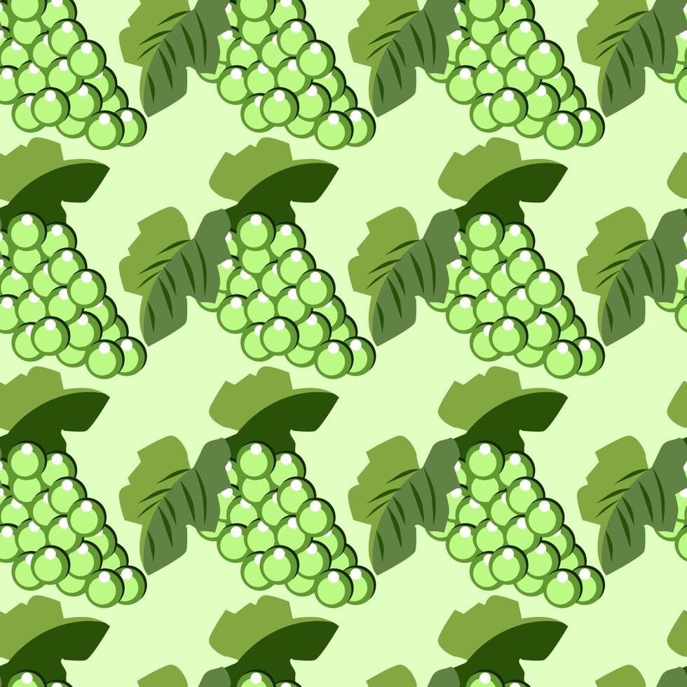 uvas verdes, ilustración, vector sobre fondo blanco.