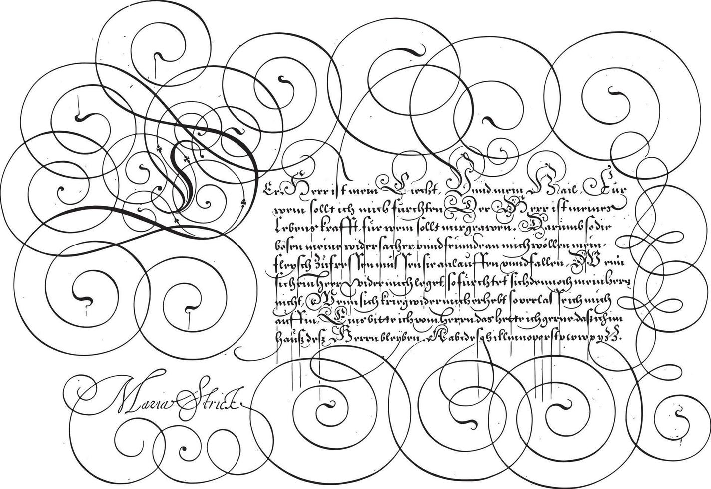 Writing example with capital D, vintage illustration. vector