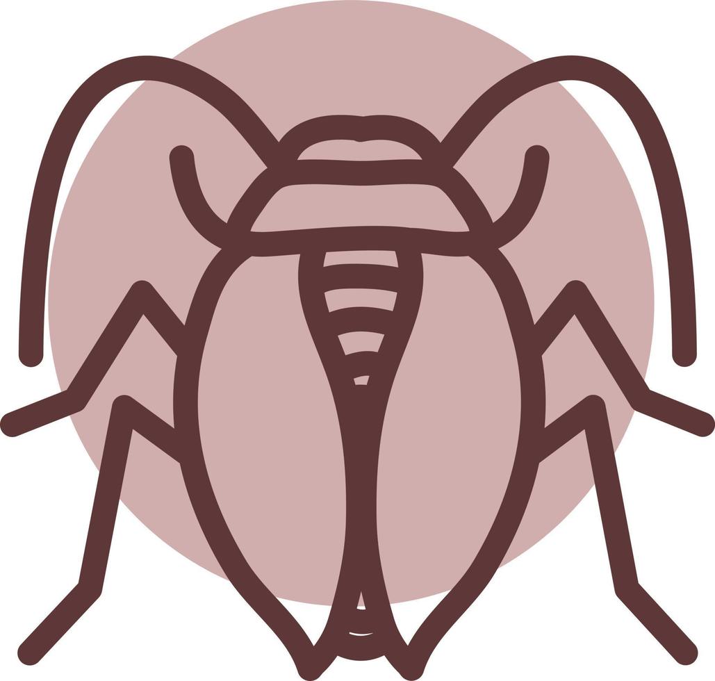 bicho carabus, ilustración, vector sobre fondo blanco.