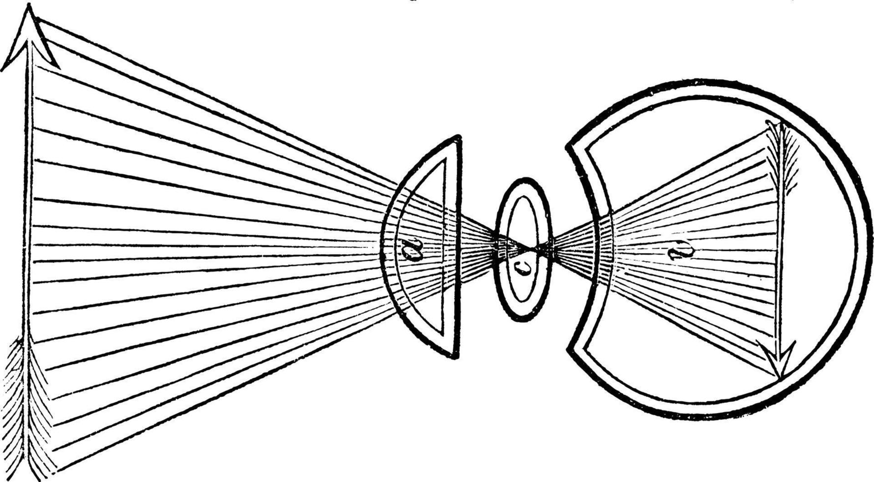 formación de una imagen en el globo ocular, ilustración vintage vector