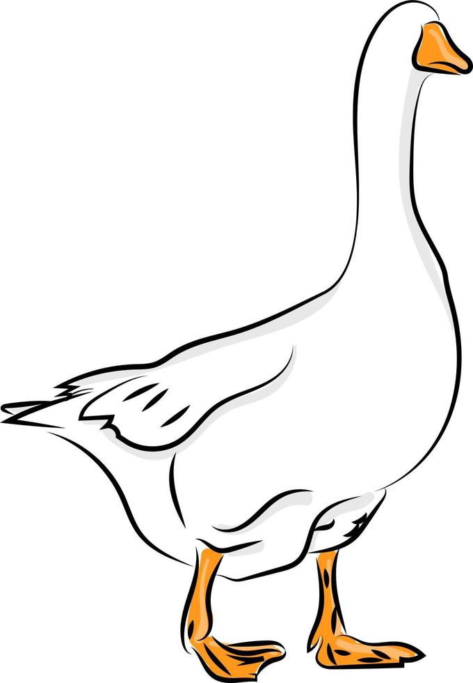 Goose with no face, illustration, vector on white background.