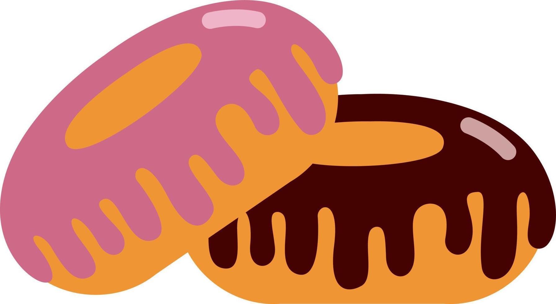 Two glazed donuts, illustration, vector on white background.