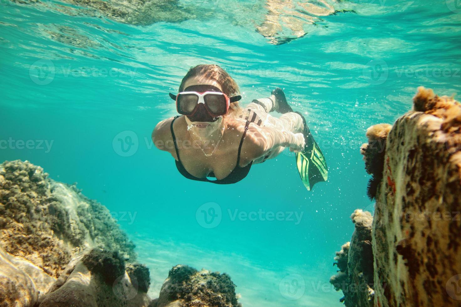 Underwater Escapades view photo