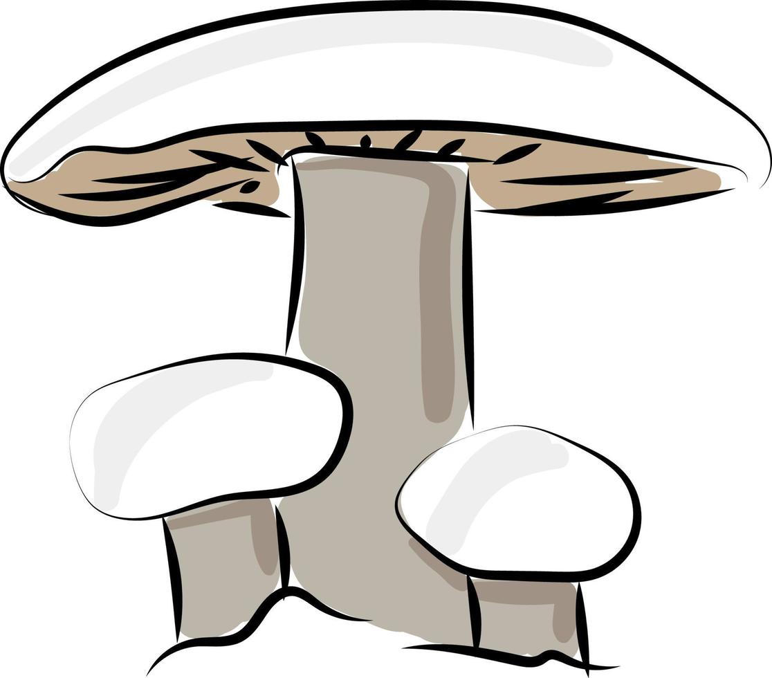 White mushroom drawing, illustration, vector on white background.