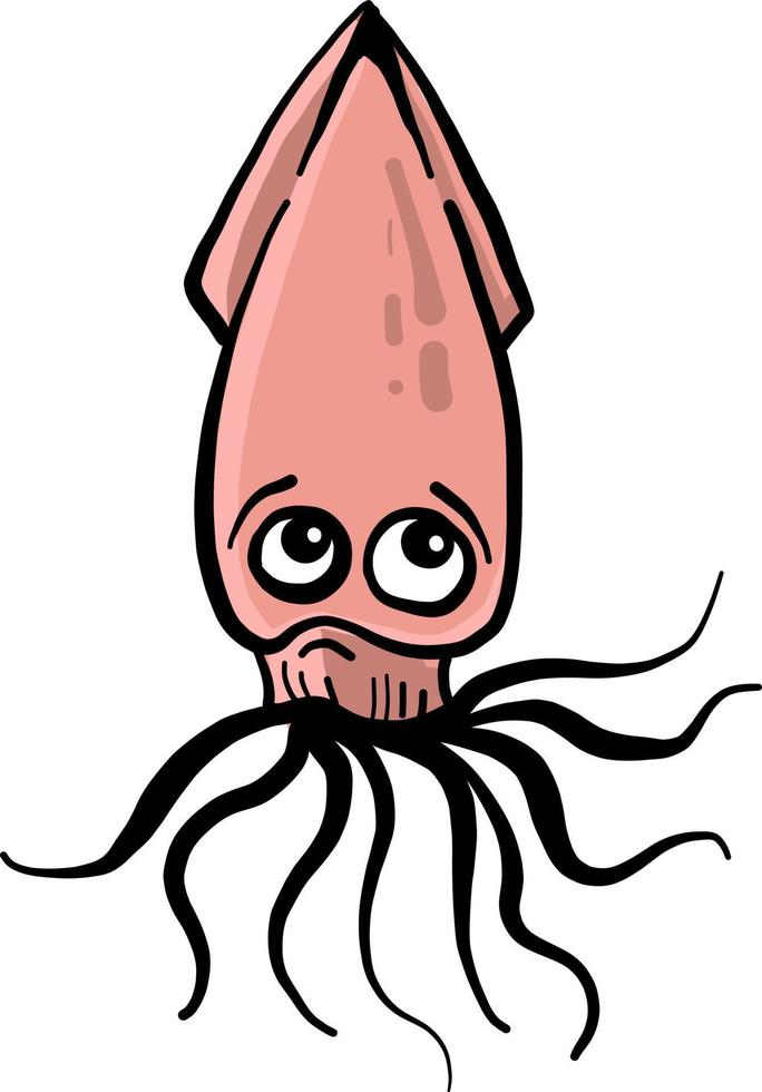 Calamares pequeños, ilustración, vector sobre fondo blanco.