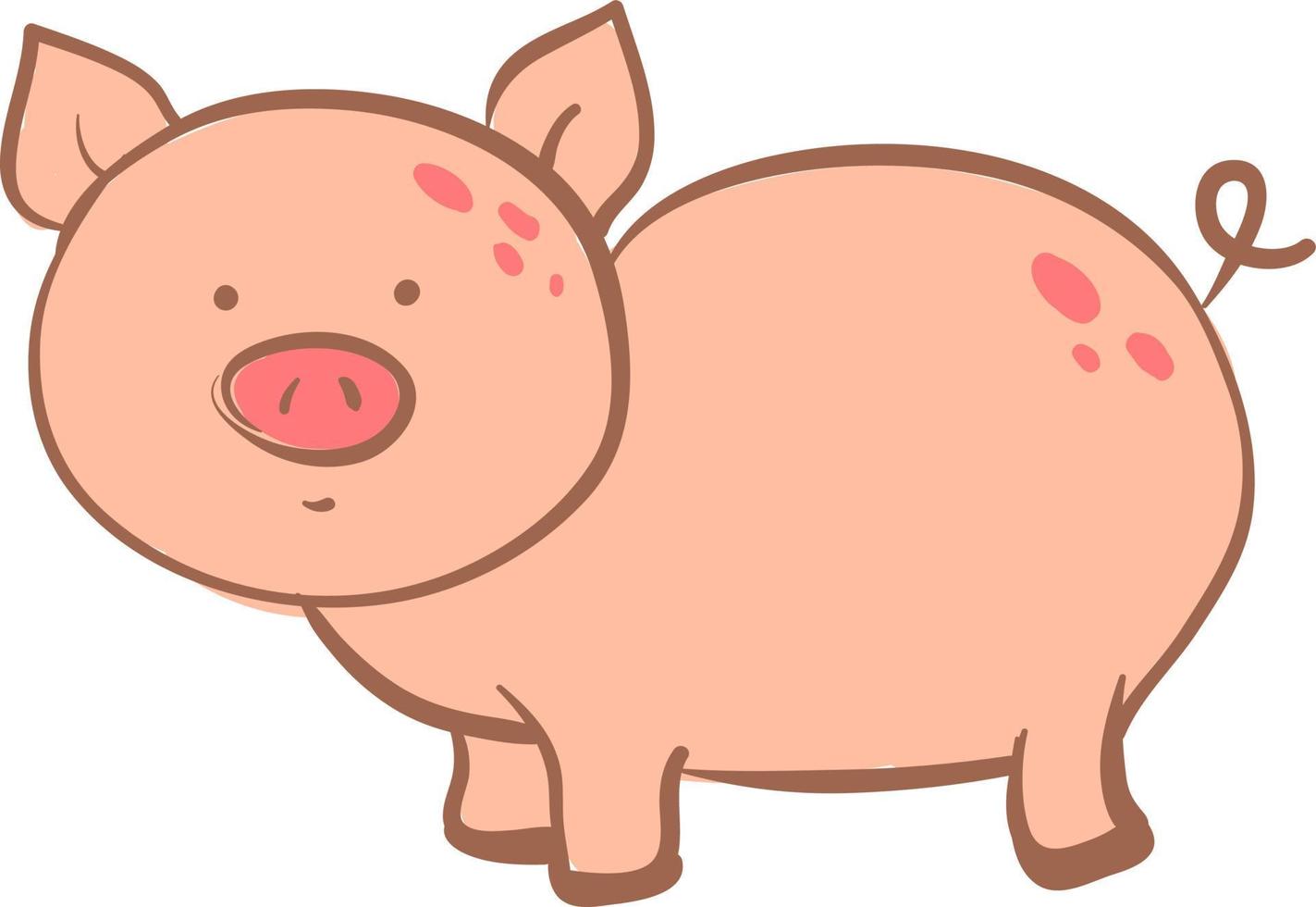 Fat pig, illustration, vector on white background.