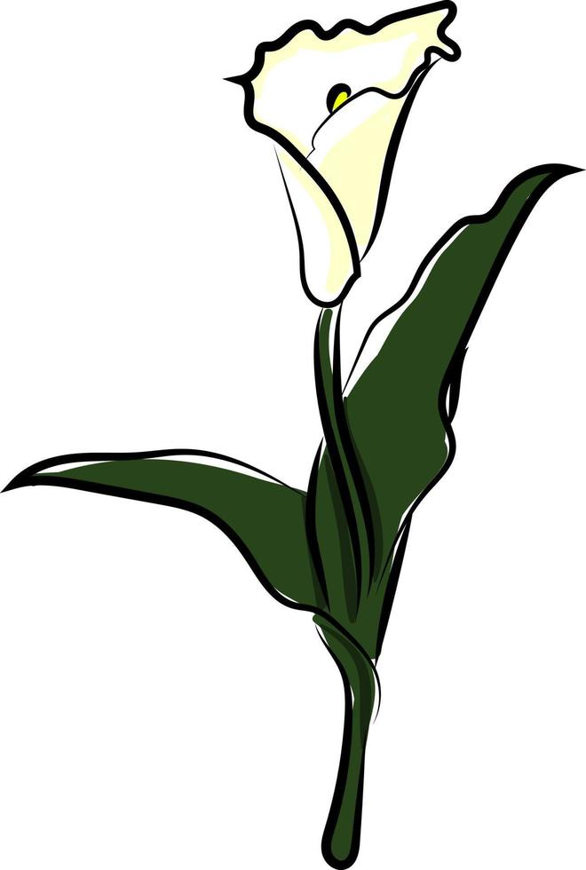 flor blanca, ilustración, vector sobre fondo blanco.