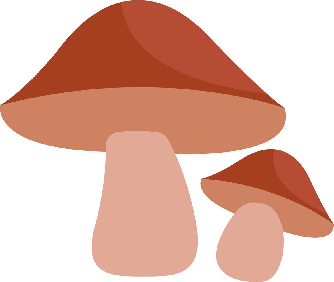 Two brown boletus mushrooms, icon illustration, vector on white background