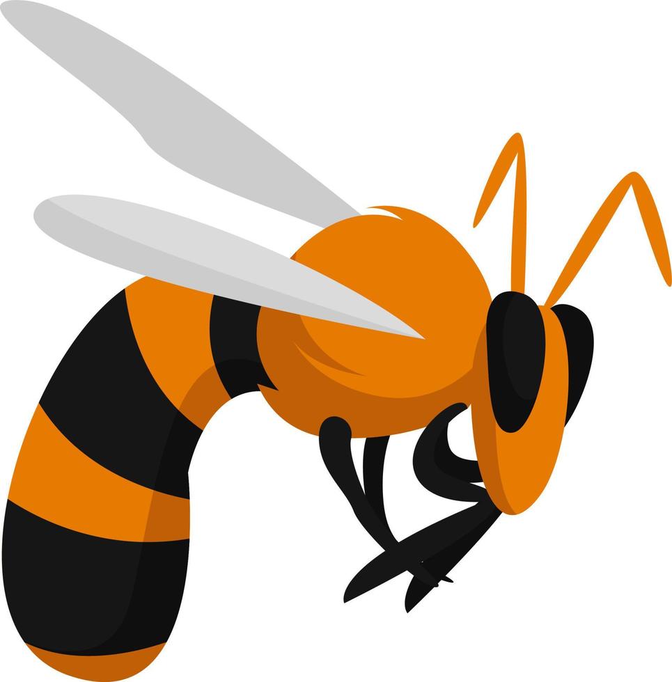 , illustration, vector on white background
