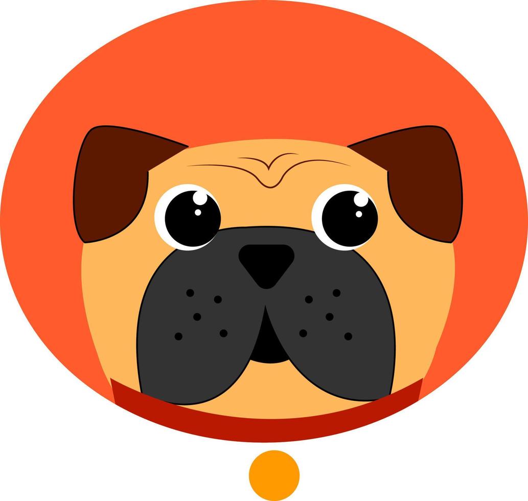 Funny pug, illustration, vector on white background.