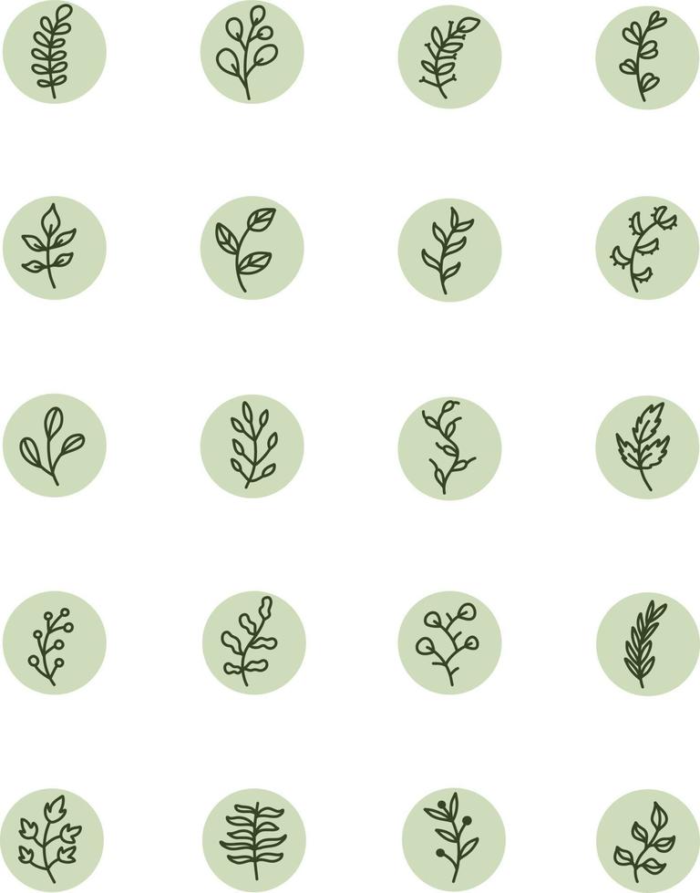 Decorative leaves on a branch, illustration, vector on a white background