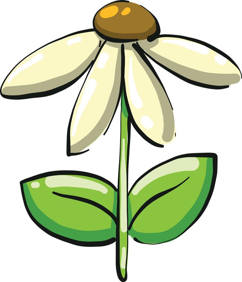 Pequeña flor blanca, ilustración, vector sobre fondo blanco.