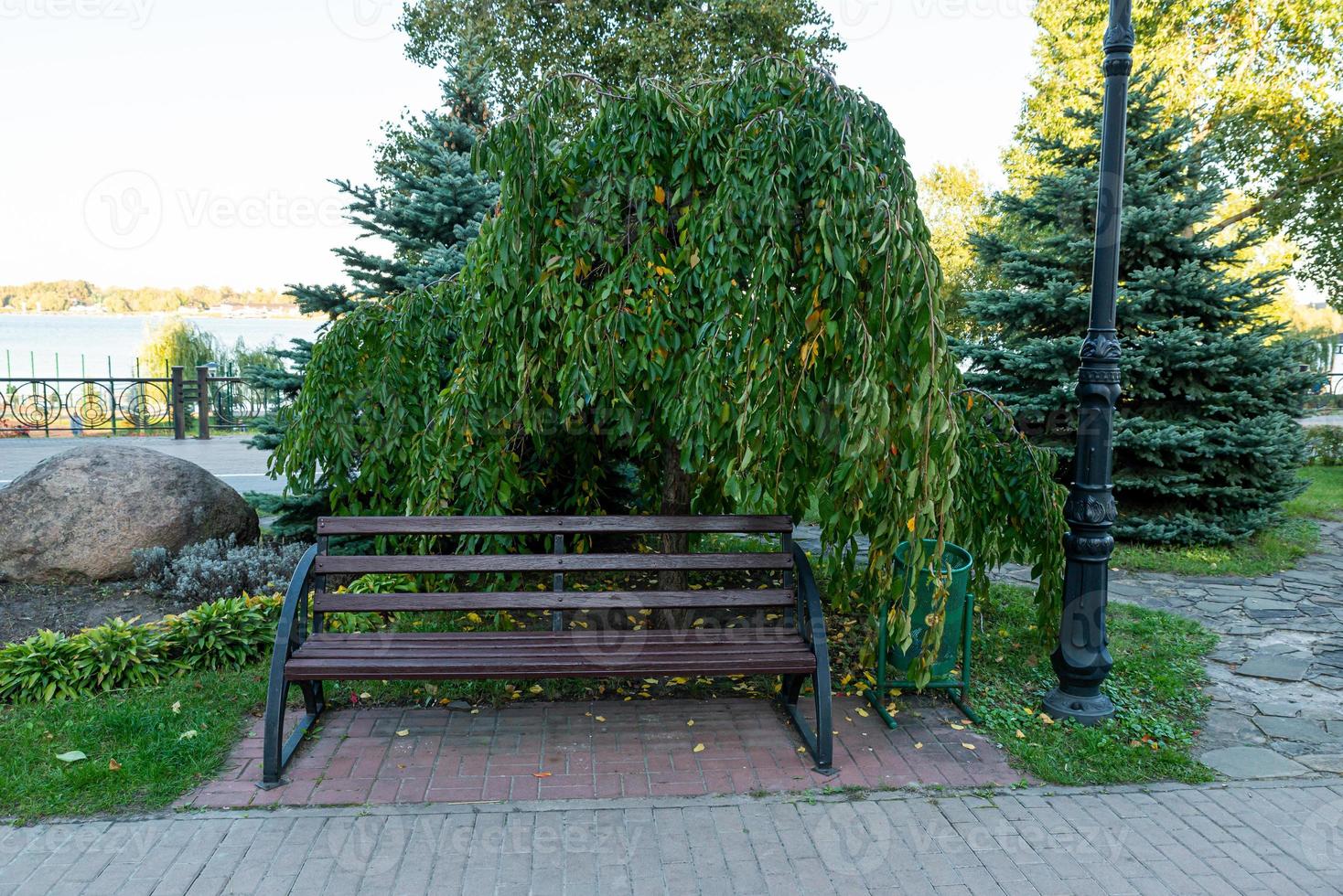 banco romántico en un parque tranquilo en verano foto