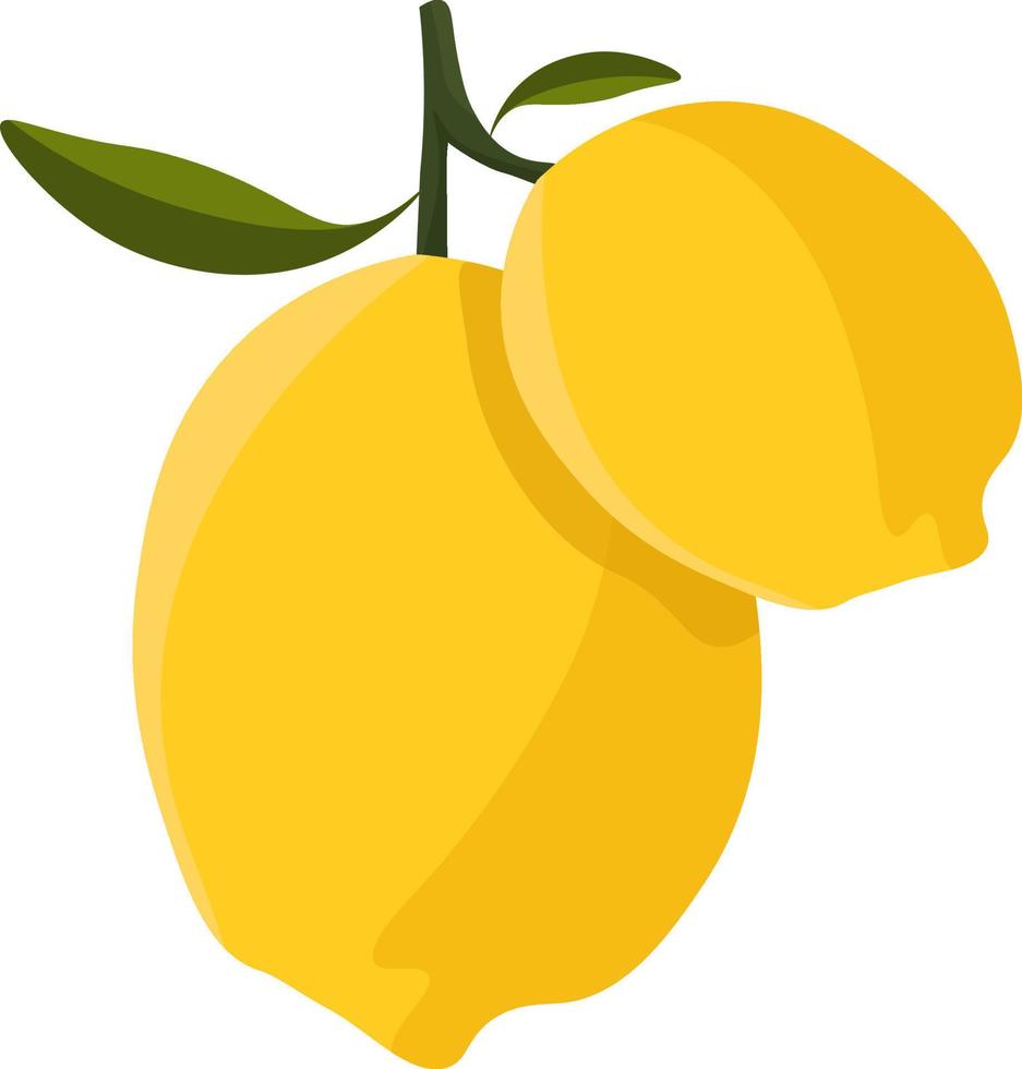 limón agrio, ilustración, vector sobre fondo blanco