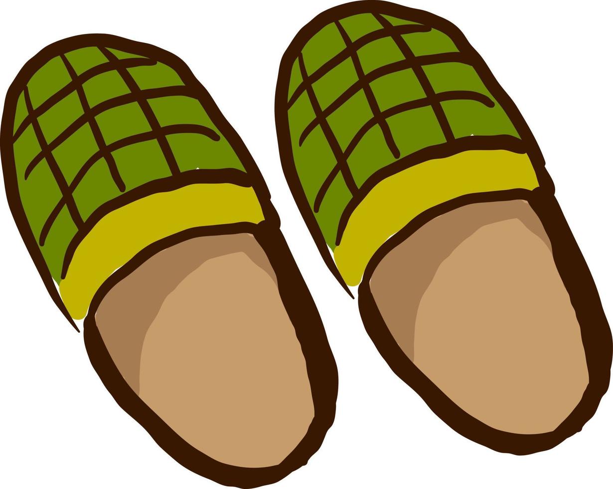 Green slippers, illustration, vector on white background.