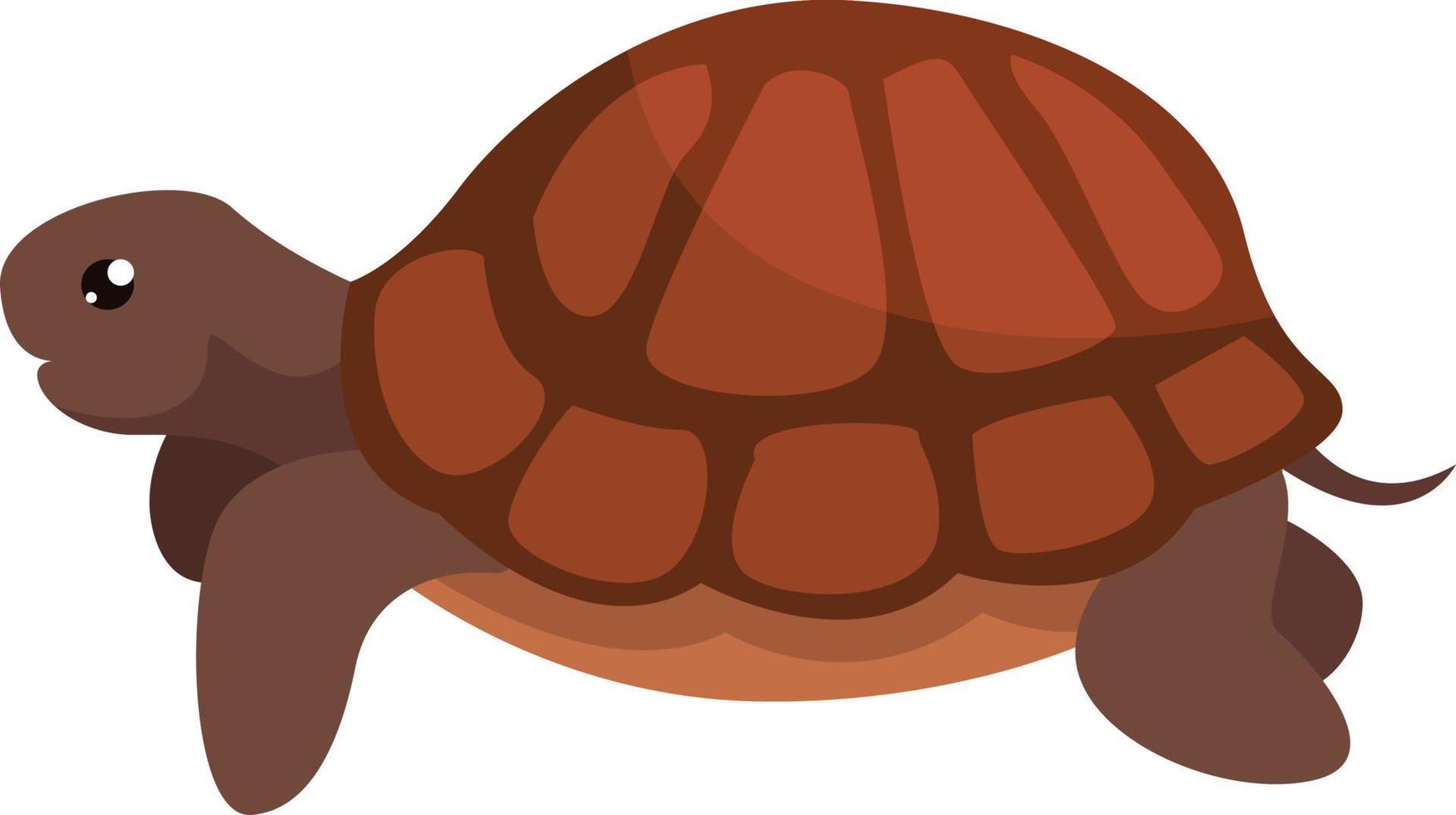 Brown turtle, illustration, vector on white background.