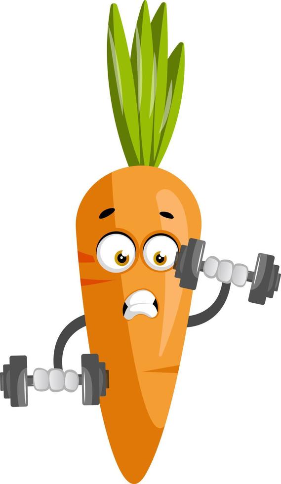 Carrot with weights, illustration, vector on white background.