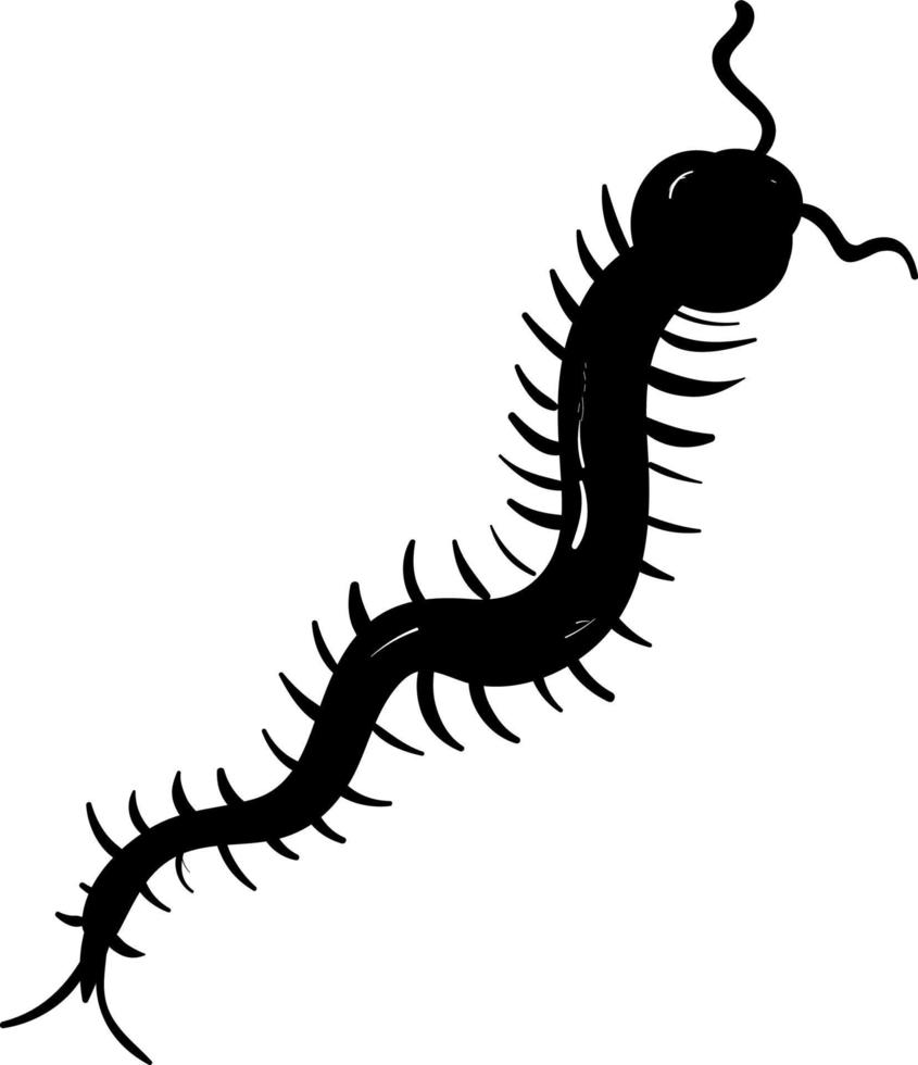 Black centipede, illustration, vector on white background.