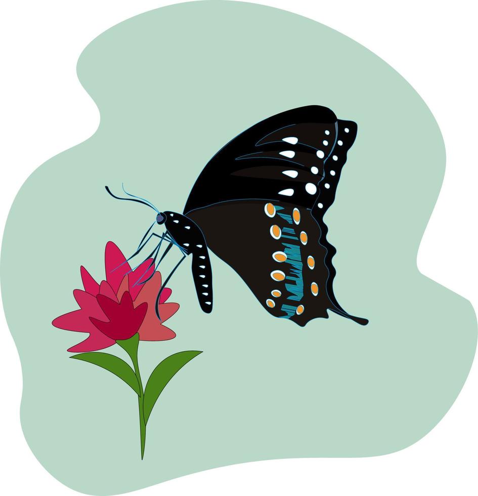 Mariposa negra sobre flor, ilustración, vector sobre fondo blanco.