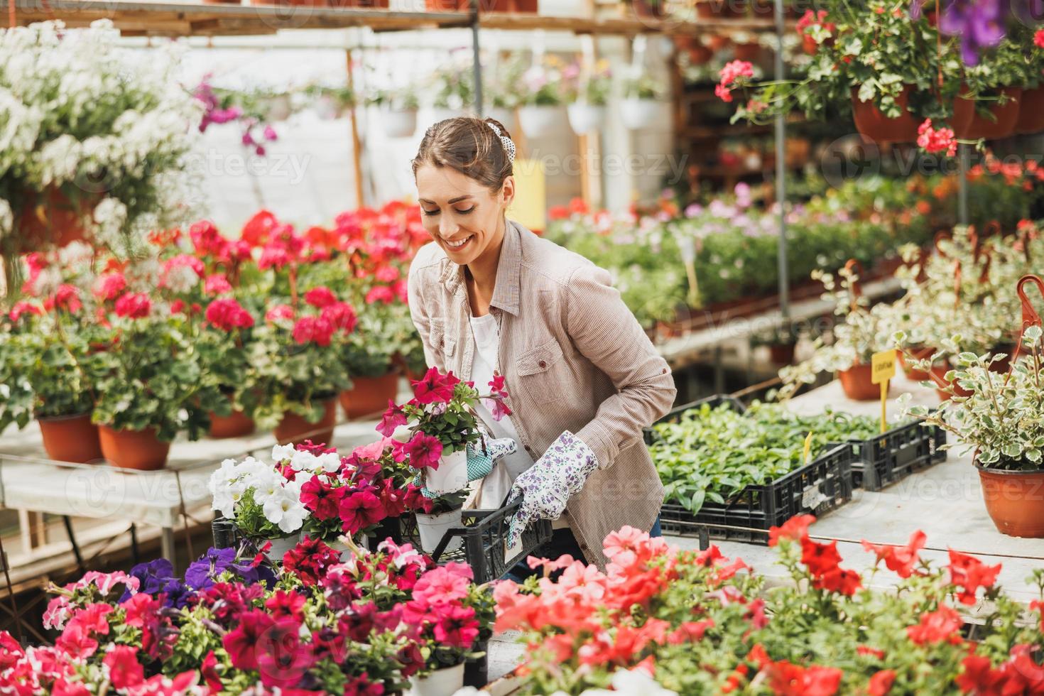 Florist Woman Gardening In Garden Center photo