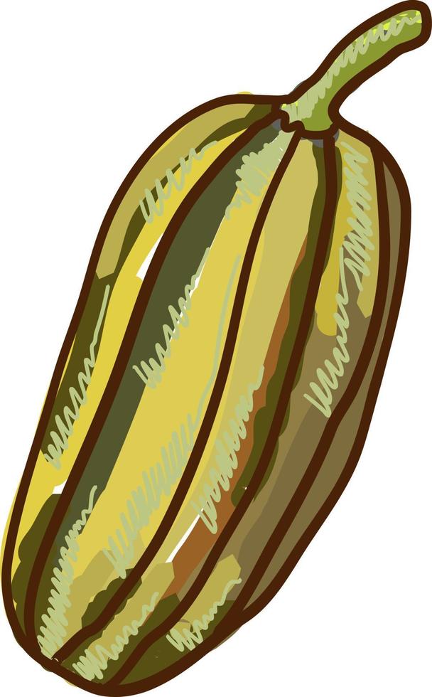 Delicata calabaza calabaza, ilustración, vector sobre fondo blanco.