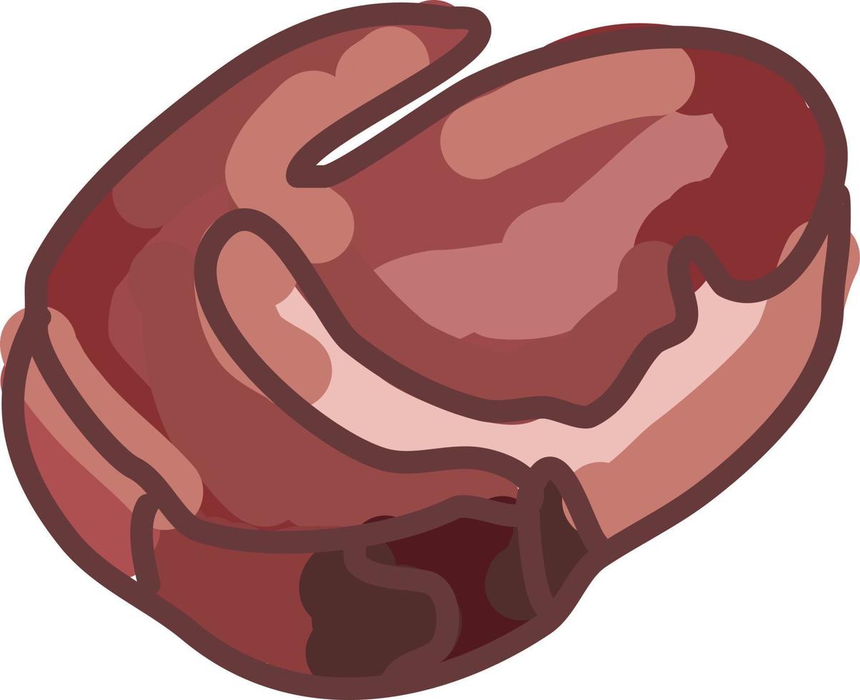 Steak bone, illustration, vector on white background.