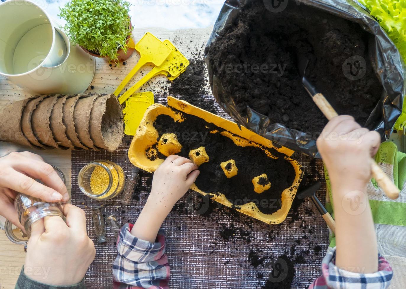 the child fills the earth in cassettes from eggs for seedlings. the concept of ecology, zero waste. flat lay photo