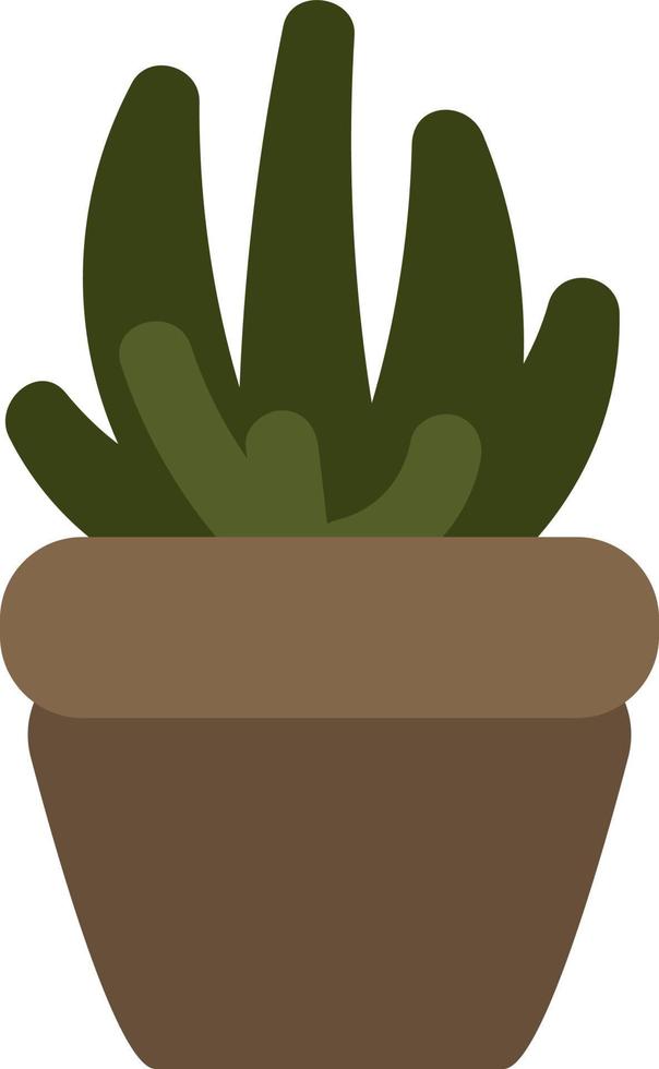 Potted aloe vera, illustration, on a white background. vector