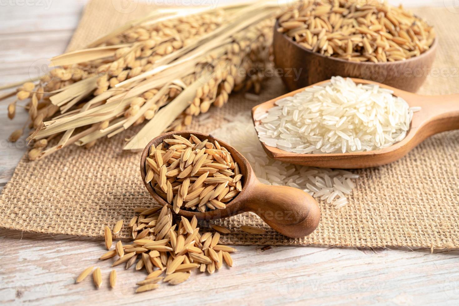 Jasmine white rice in wooden bowl with gold grain from agriculture farm. photo